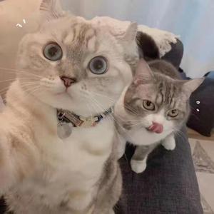 奔赴热爱的日子