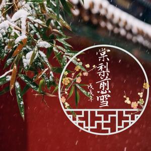 棠梨煎雪-若水琉璃