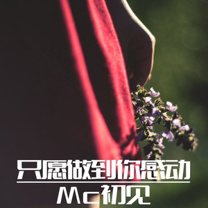 对不起我给不起