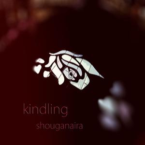 Kindling