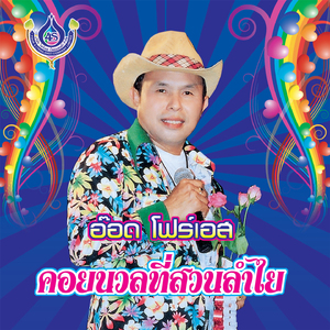 คอยนวลที่สวนลำไย