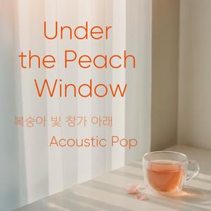 Quiet Hands Warm Tea 조용한 손 따뜻한 차