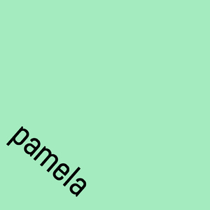 PAMELA