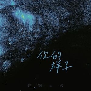 你的样子 (DJ彭锐版)