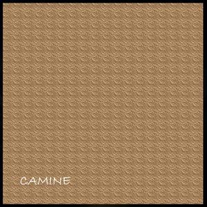 camine