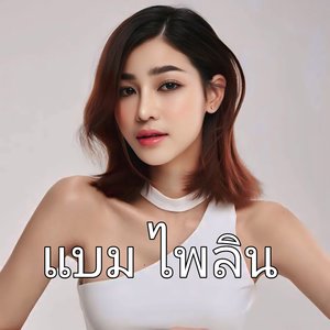 วิท ลัยหลายใจ