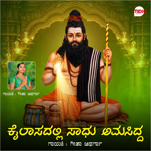 Kailasadalli Sadhu Amashidda