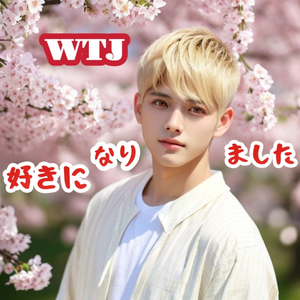 好きになりました