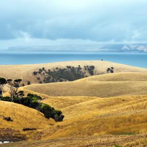 家是最美的地方