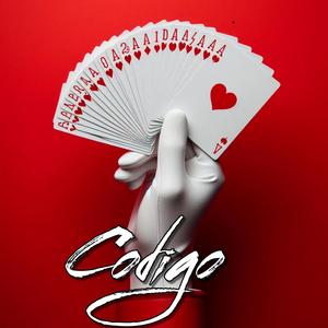 Codigo