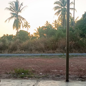 Kogpungshepalanaka
