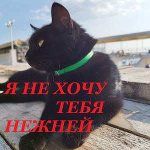 Я не хочу тебя нежней