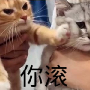 Various Artists-Megalo Strike Back（UK Hardcore remix）（AFei remix）