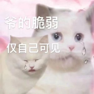 心墙