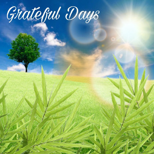 Grateful Days (feat. L-mashingan)