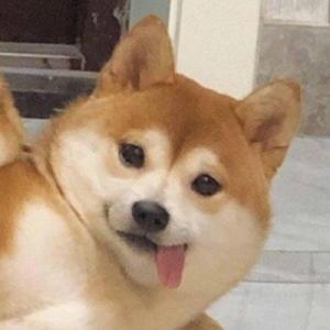 钟的反方向～_1