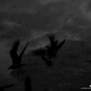 4月5日晚，天空多了一颗星星。