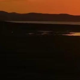 听风儿刮到哪去