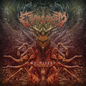 Misery (feat. Alexander Bryce Verschoor & The Breathing Process)