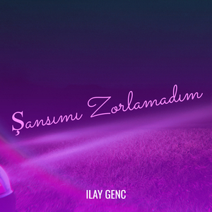Şansımı Zorlamadım