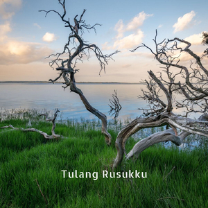 Tulang Rusukku