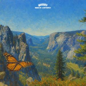 Wings Of A Butterfly