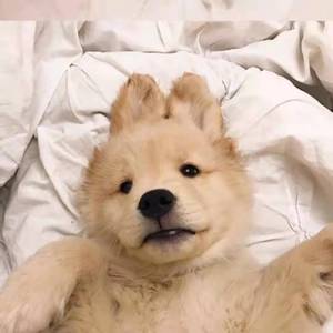 看到了深刻
