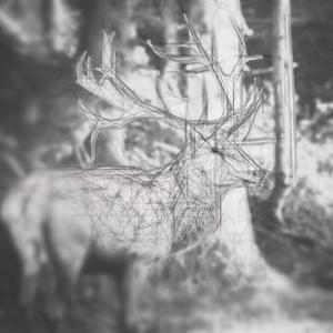 人们困在春天的房子里