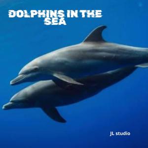 Dolphins in the sea