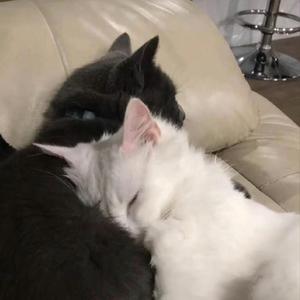 还要多久才能和你在一起