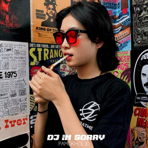 Dj Im Sorry