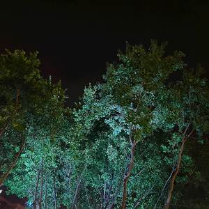 penny in the atlantic ocean