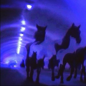 Reaper On the Highway