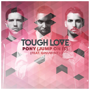 Pony (Jump On It) [feat. Ginuwine] [Radio Mix]