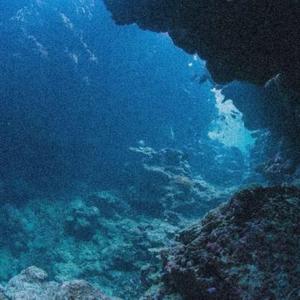 sopranos (feat. burns)