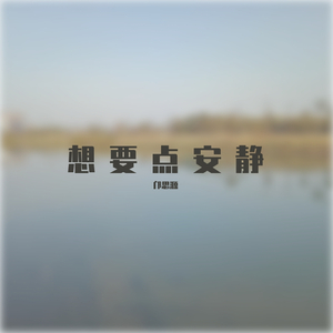 想要点安静