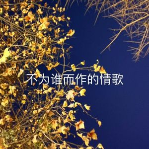 不为谁而作的情歌