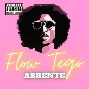 Flow Tego (feat. Noize Burner)