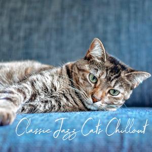 Sofa Cat