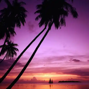 微醺海岸线（Prod by RYUU CHUNG）