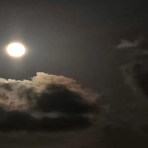 Νύχτα Ηλεκτρική