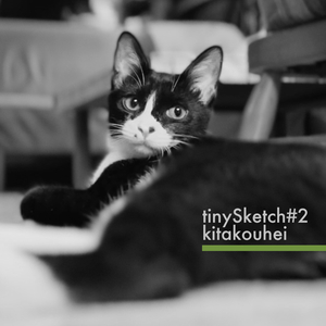 tinySketch #2