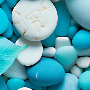 我心甘情愿做你一辈子的知己