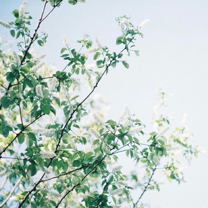 オーバーオール