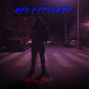 Meo Estilazo