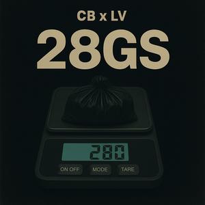 28Gs
