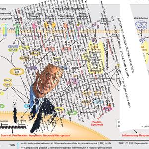 3 Chewable Ambein Tabs