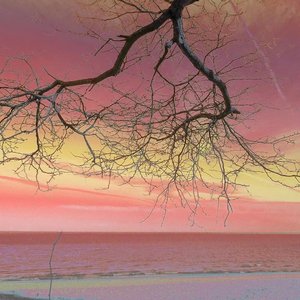 消失在勐朗坝的爱prod by Rising Beat