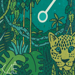 O Caçador e a Flecha