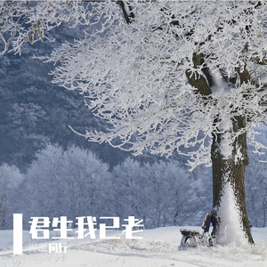 君生我已老
